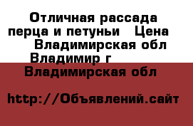 Отличная рассада перца и петуньи › Цена ­ 30 - Владимирская обл., Владимир г.  »    . Владимирская обл.